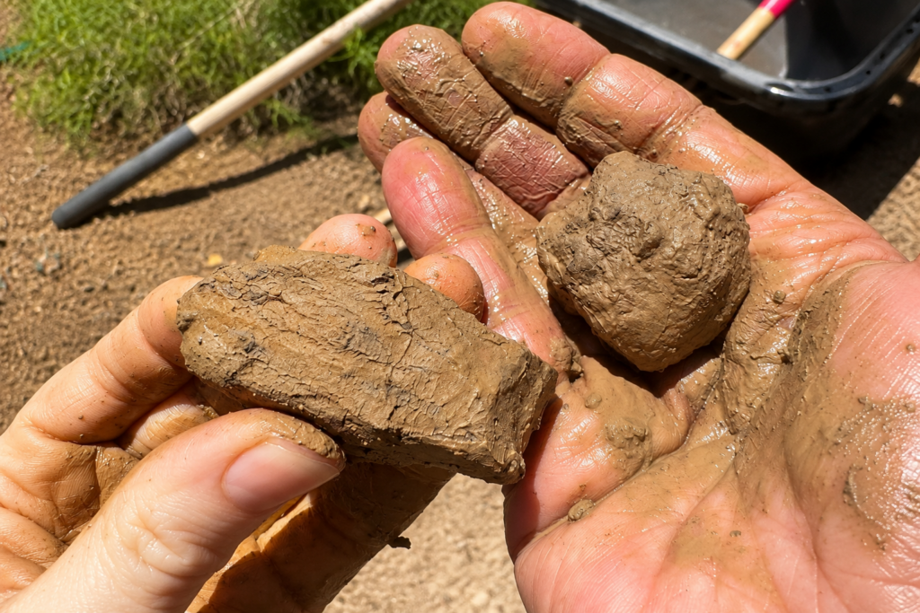 Hands holding freshly made adobe samples during an adobe building workshop
